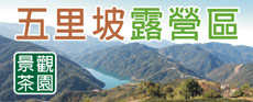 清境五里坡景觀茶園露營區