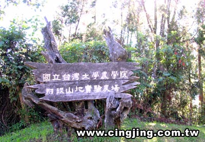 台大梅峰農場